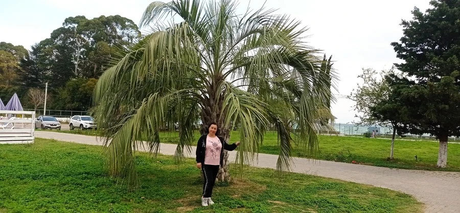 Фото отеля АПСНЫ ГУДАУТА