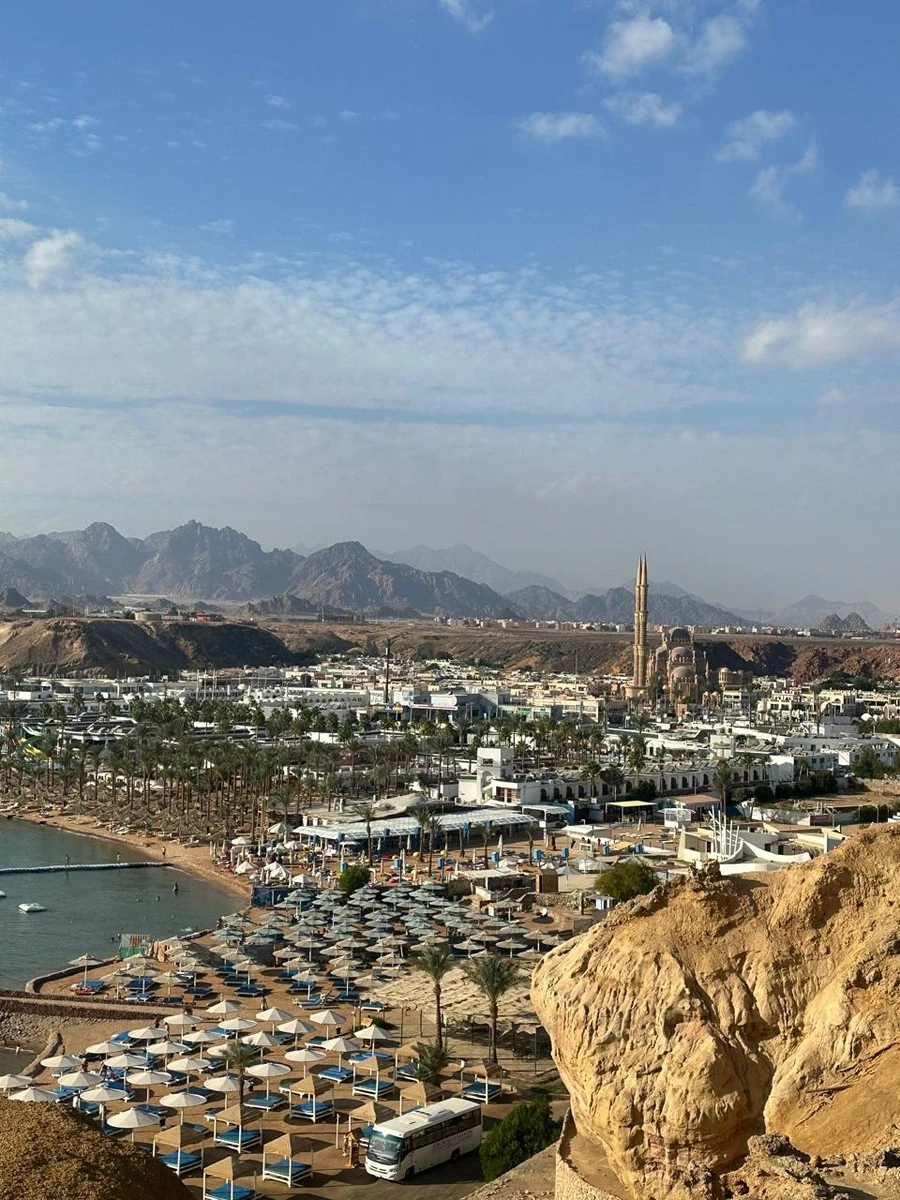 Фото отеля ALBATROS SHARM (EX. BEACH ALBATROS SHARM)