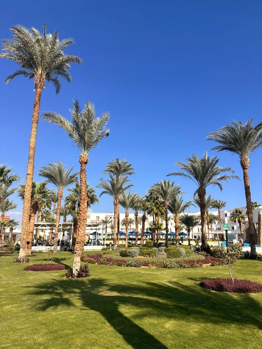 Фото отеля ALBATROS SHARM (EX. BEACH ALBATROS SHARM)