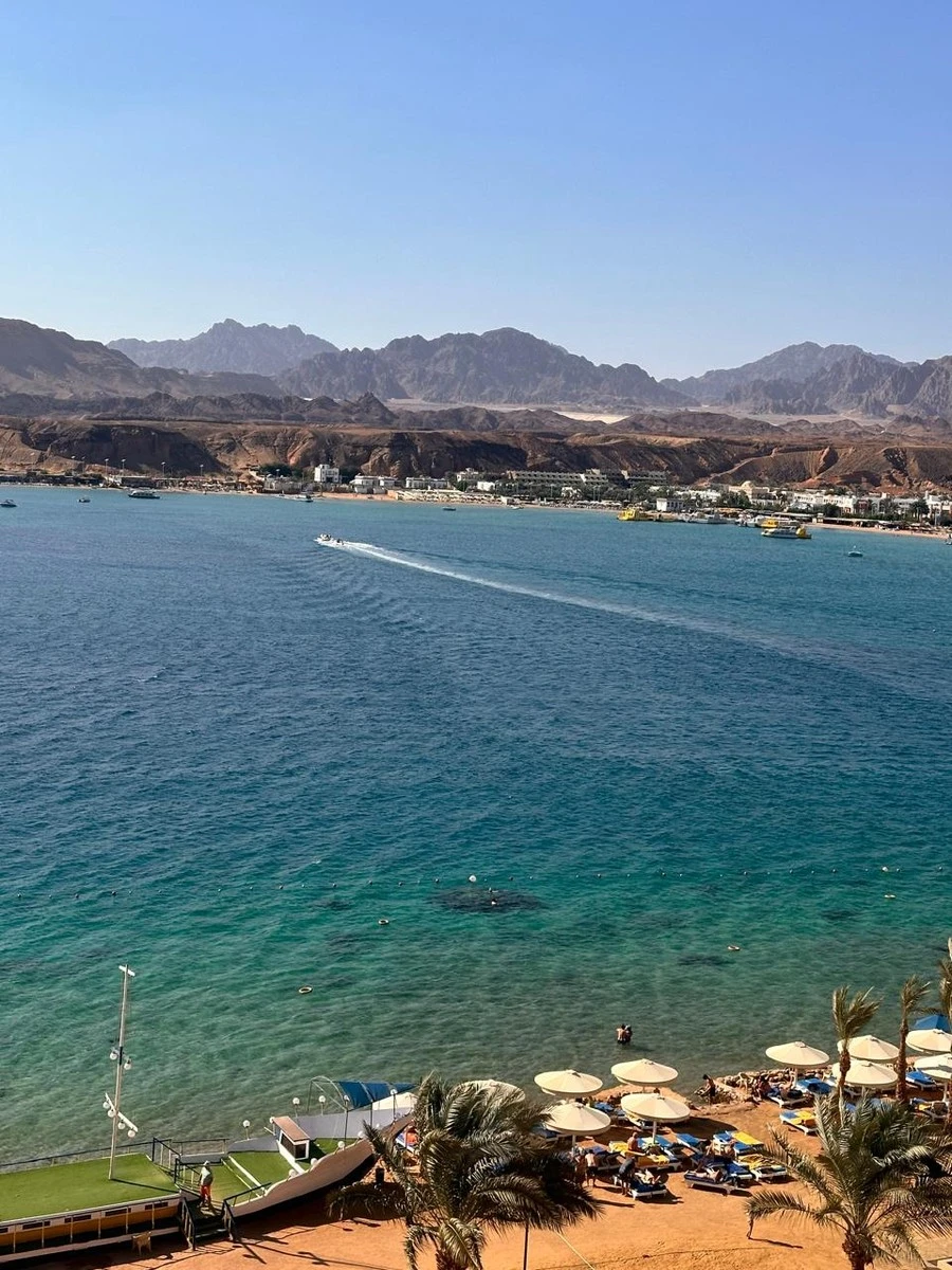 Фото отеля ALBATROS SHARM (EX. BEACH ALBATROS SHARM)