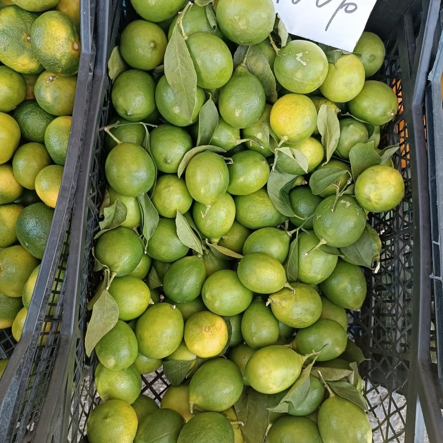 Фото отеля СТРАНА ДУШИ