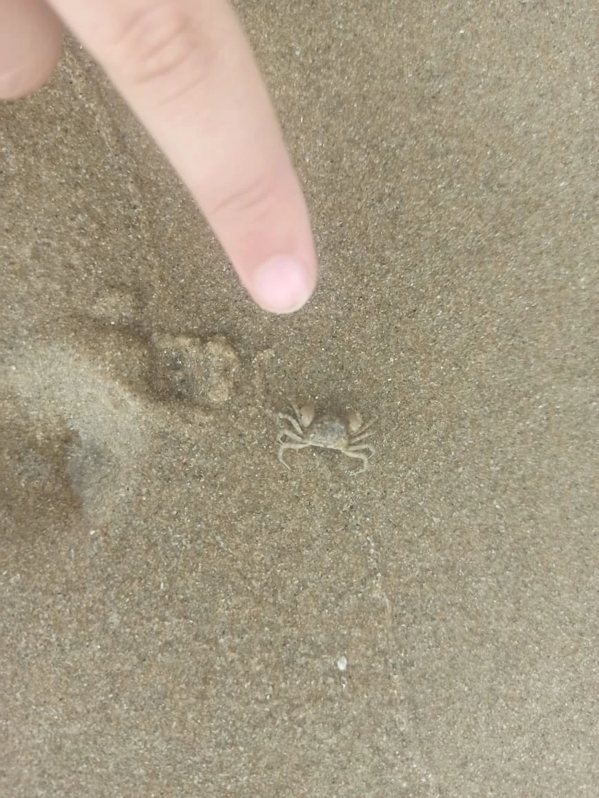 Фото отеля SEA BREEZE JOMTIEN RESORT