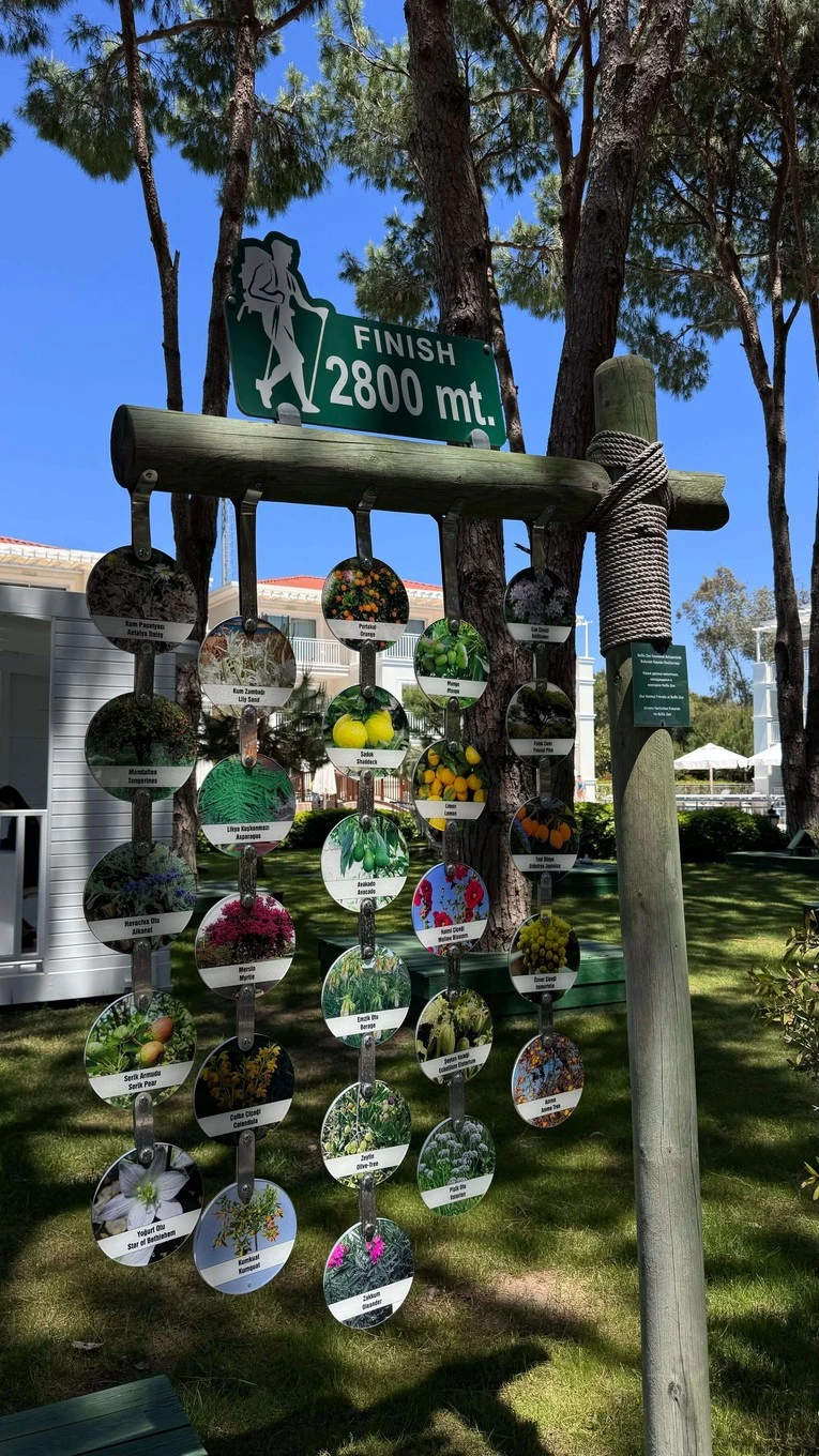 Фото отеля BELLIS DELUXE HOTEL