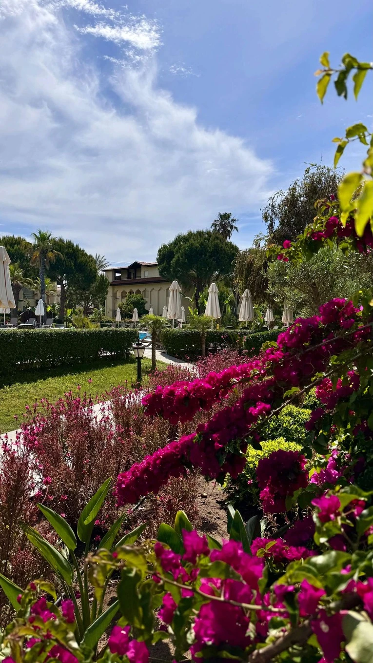 Фото отеля BELLIS DELUXE HOTEL