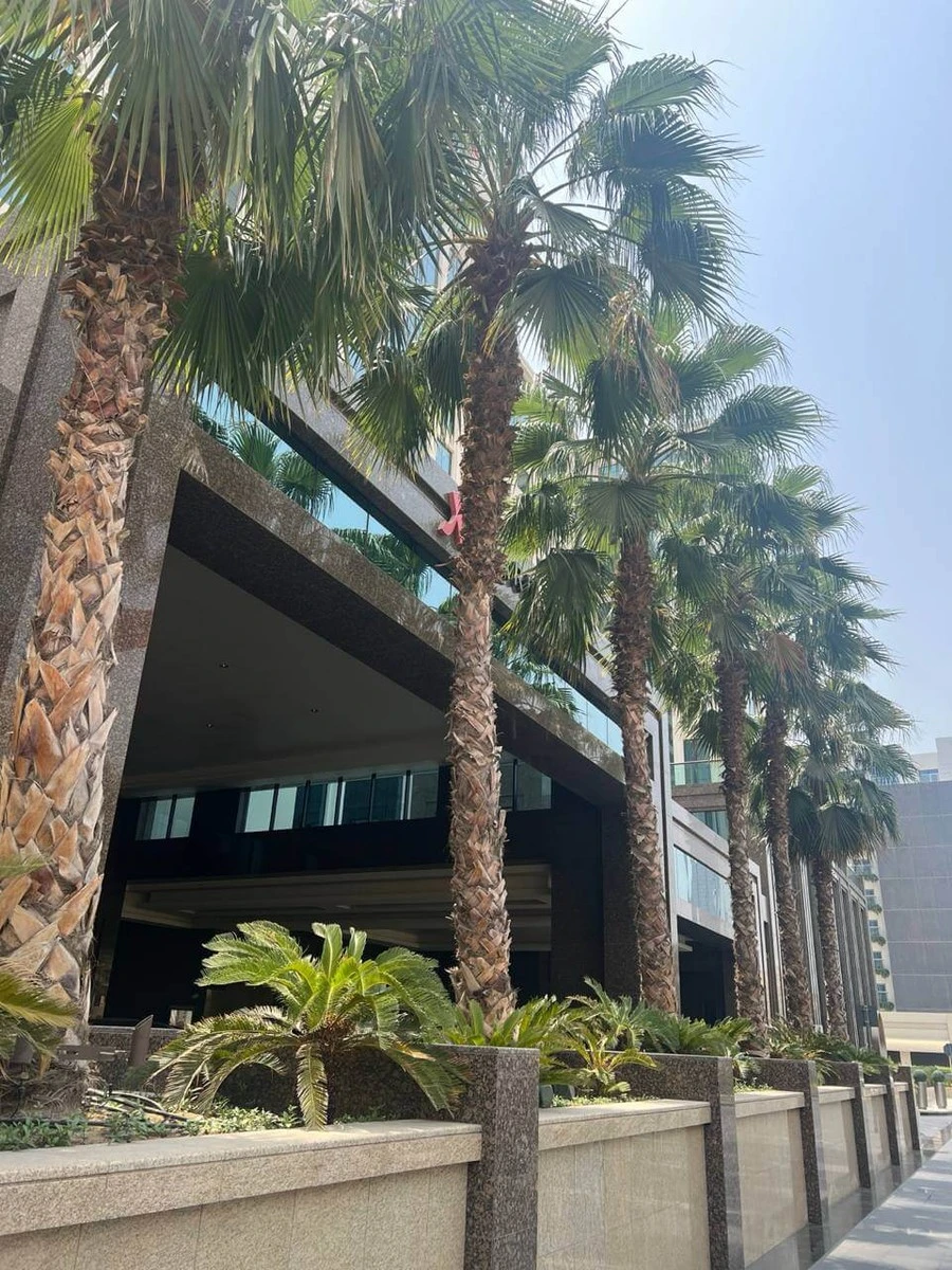 Фото отеля MARRIOTT RESORT PALM JUMEIRAH