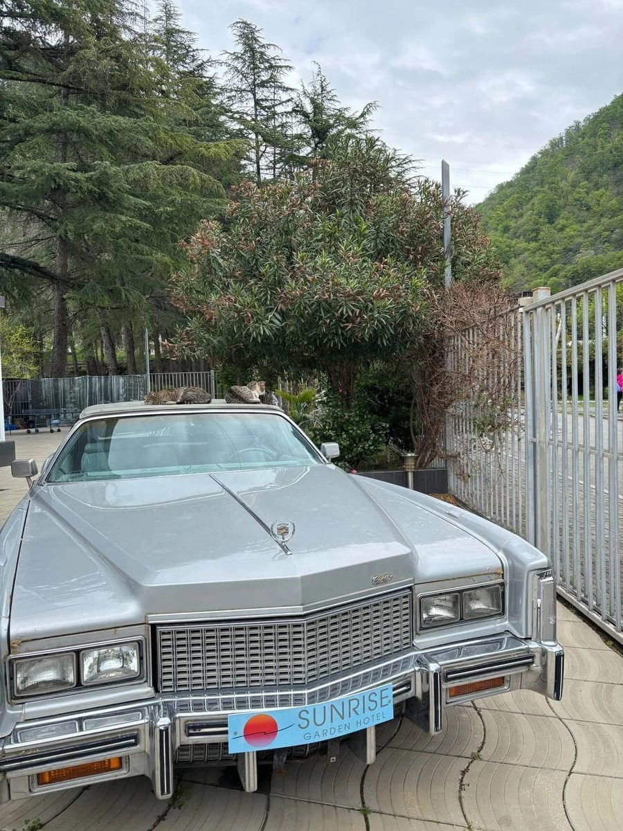 Фото отеля SUNRISE GARDEN HOTEL (САНРАЙЗ ГАРДЕН)