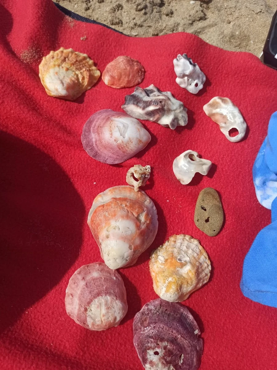 Фото отеля DONATELLO HOTEL DUBAI (EX. CORAL BOUTIQUE)