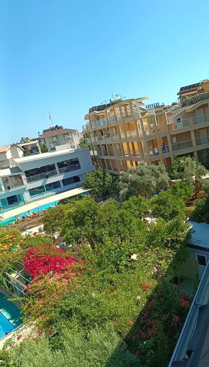 Фото отеля CATTY CATS GARDEN