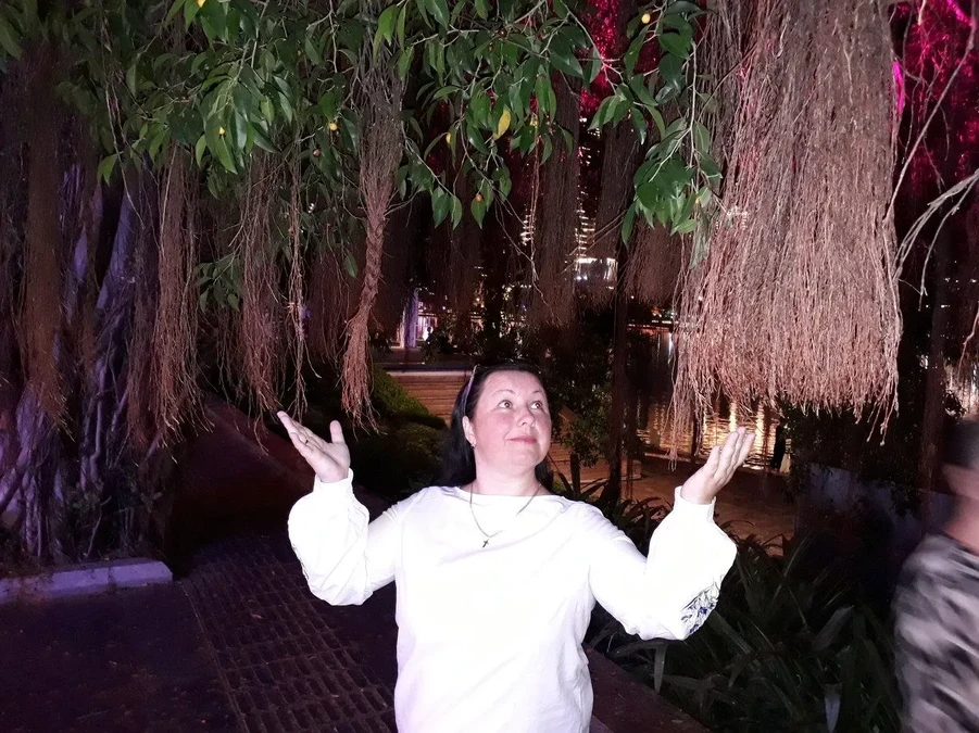 Фото отеля JINJIANG BAOHONG HOTEL