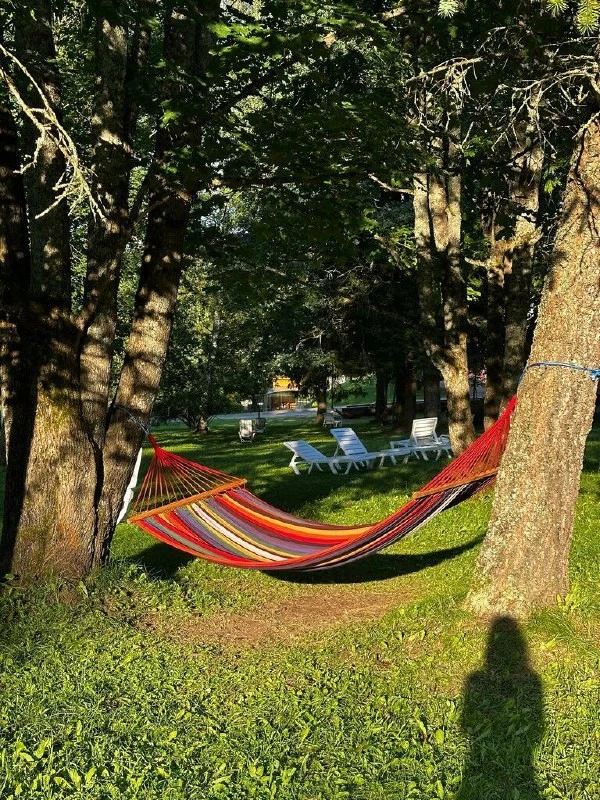 Фото отеля ЛЕСНОЙ ПАРК-ОТЕЛЬ (EX. ГЕЛИОПАРК ЛЕСНОЙ)