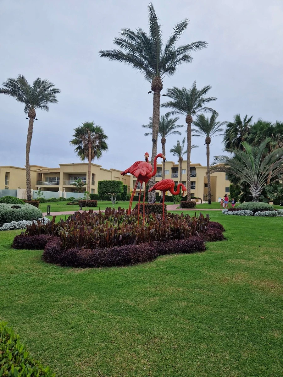 Фото отеля RIXOS PREMIUM SEAGATE 