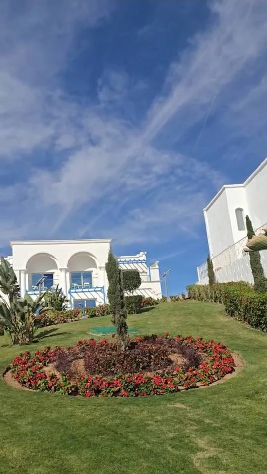 Фото отеля FUN&SUN FAMILY ALBATROS PALACE