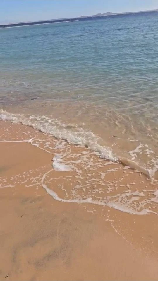 Фото отеля FUN&SUN FAMILY ALBATROS PALACE