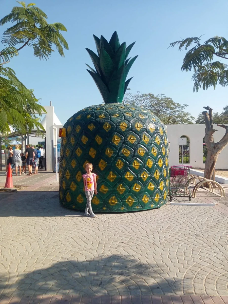 Фото отеля SAN MARINO HOTEL (EX. SAN MARCO HOTEL)