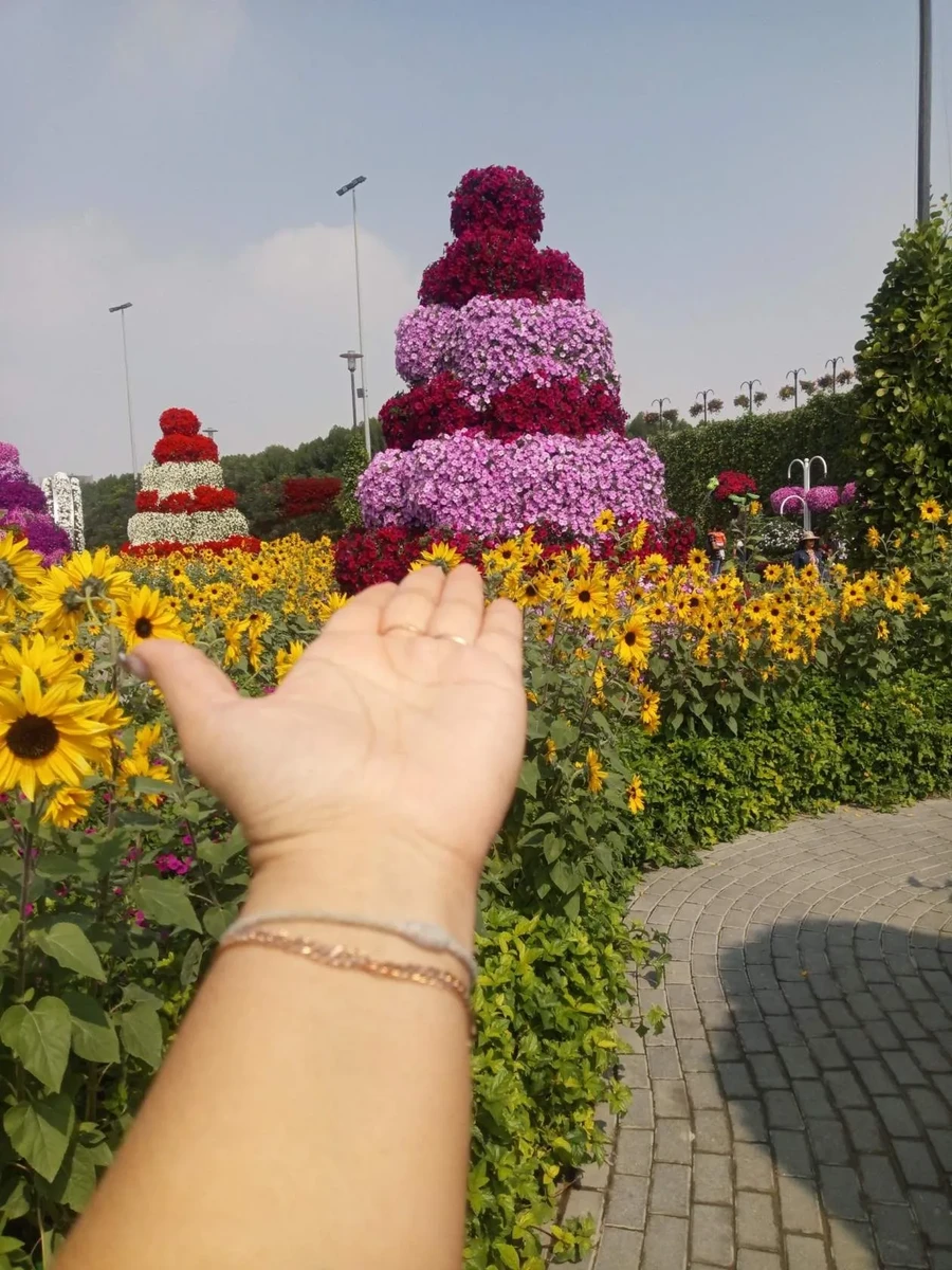 Фото отеля SAN MARINO HOTEL (EX. SAN MARCO HOTEL)