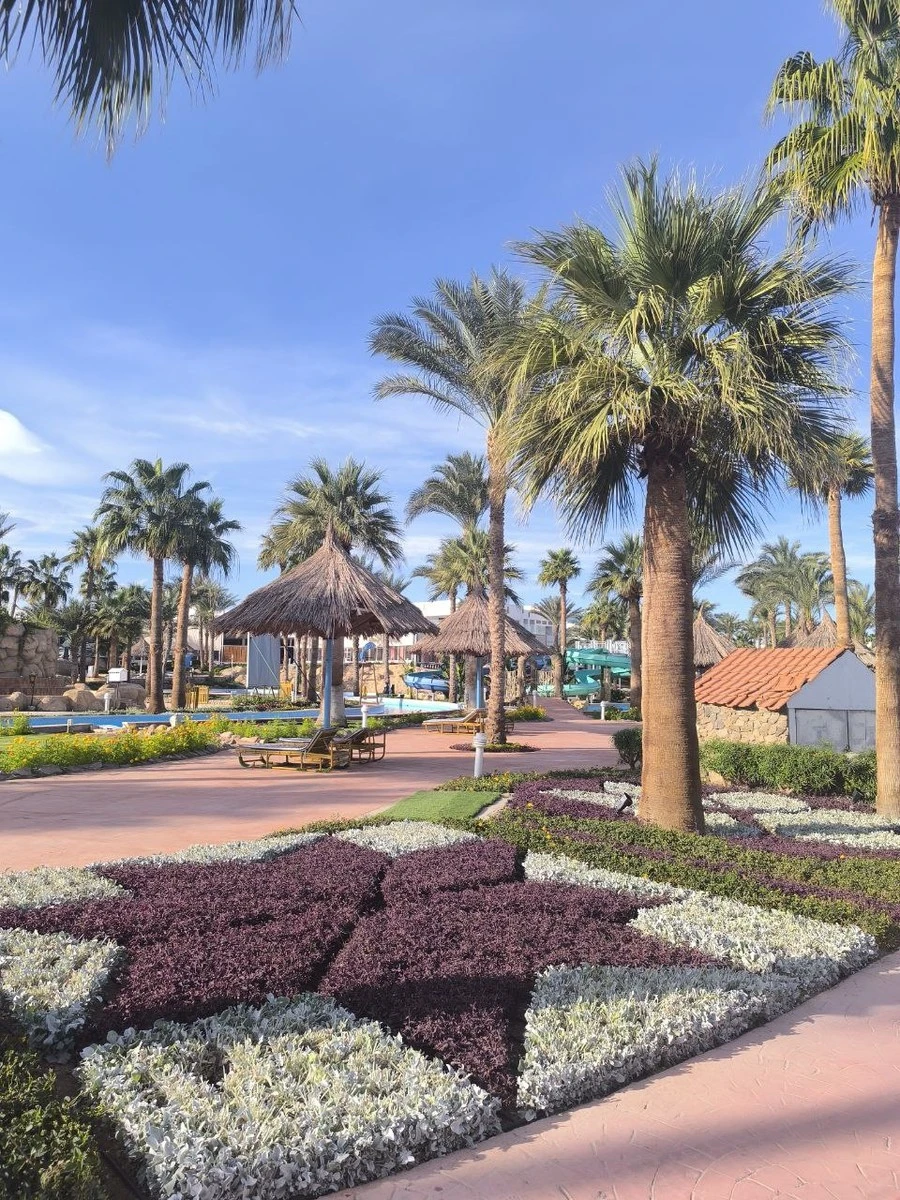 Фото отеля PICKALBATROS GOLF BEACH RESORT (EX. GOLF BEACH RESORT MANAGED BY RIXOS)