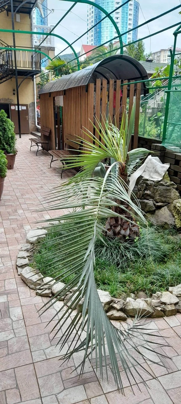 Фото отеля РОМАШКА ГОСТЕВОЙ ДОМ