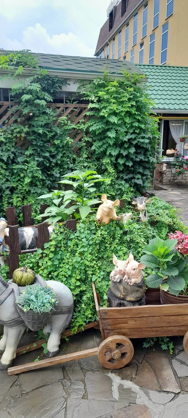 Фото отеля РОМАШКА ГОСТЕВОЙ ДОМ