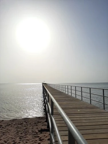 Фото отеля SEA BEACH AQUA PARK RESORT