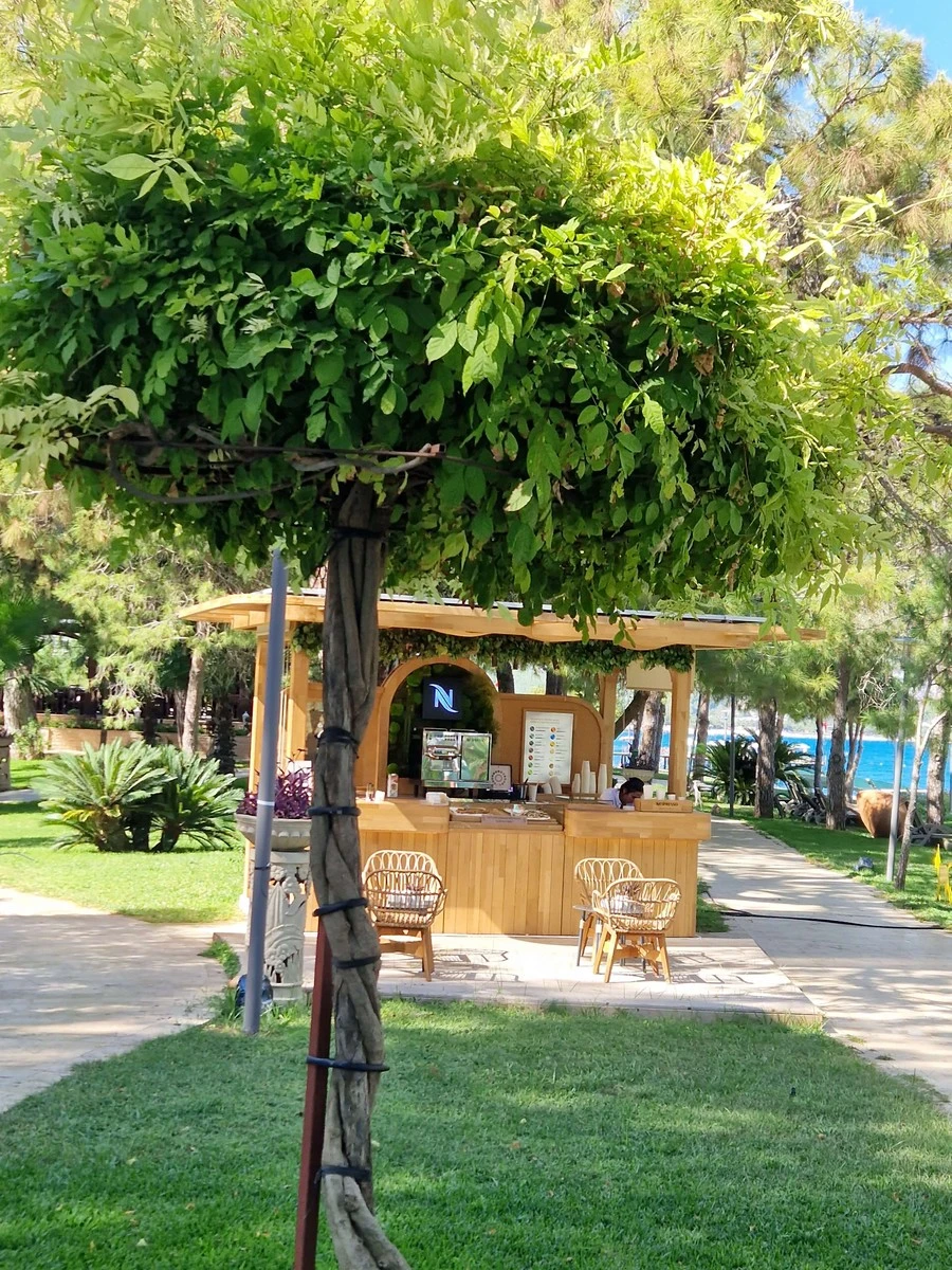 Фото отеля NIRVANA MEDITERRANEAN EXCELLENCE