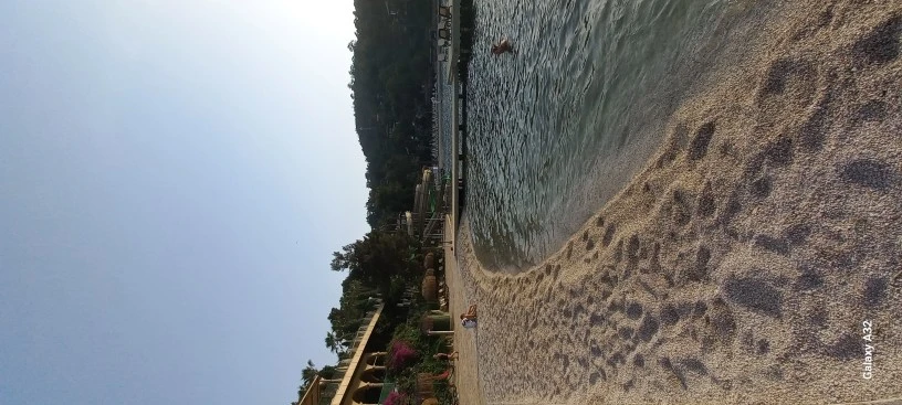 Фото отеля CLUB & HOTEL LETOONIA