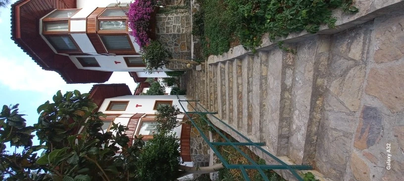 Фото отеля CLUB & HOTEL LETOONIA