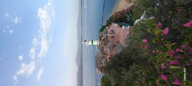 Фото отеля CLUB & HOTEL LETOONIA