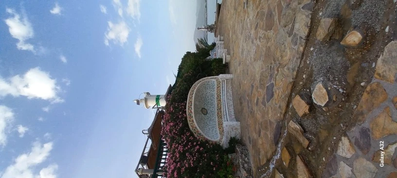 Фото отеля CLUB & HOTEL LETOONIA