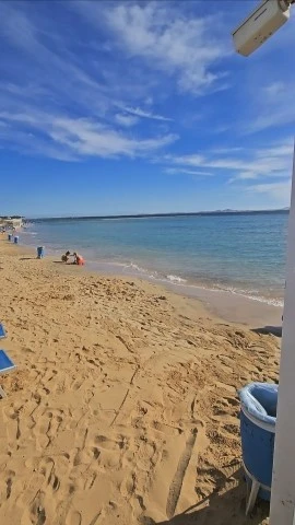 Фото отеля FUN&SUN FAMILY ALBATROS PALACE