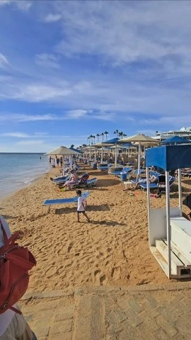 Фото отеля FUN&SUN FAMILY ALBATROS PALACE