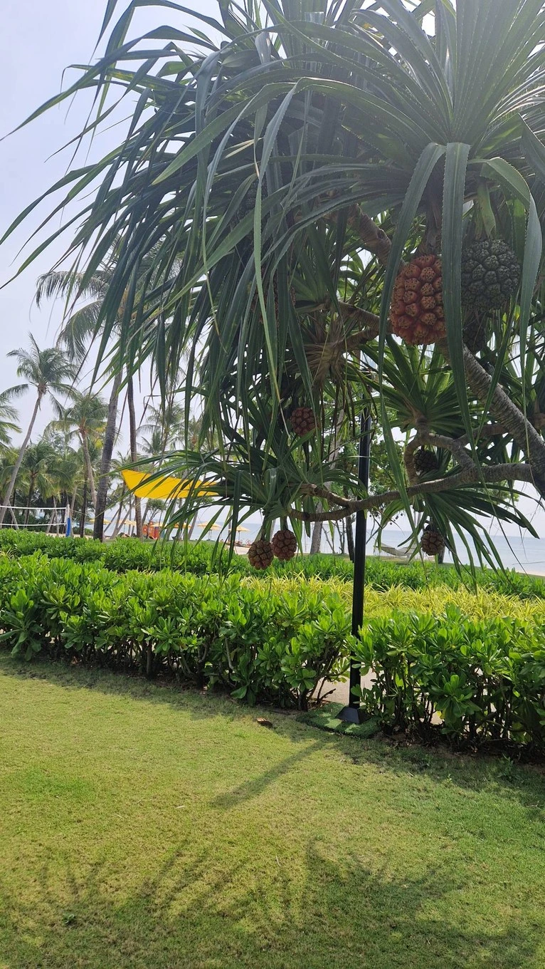 Фото отеля PULLMAN PHU QUOC BEACH RESORT