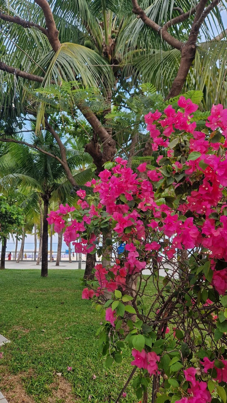 Фото отеля PULLMAN OCEAN VIEW SANYA BAY RESORT & SPA