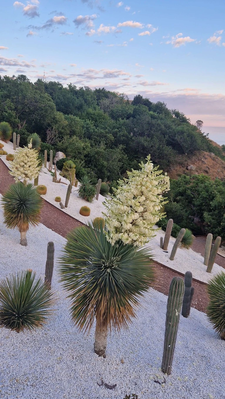 Фото отеля MRIYA RESORT & SPA (МРИЯ РЕЗОРТ)