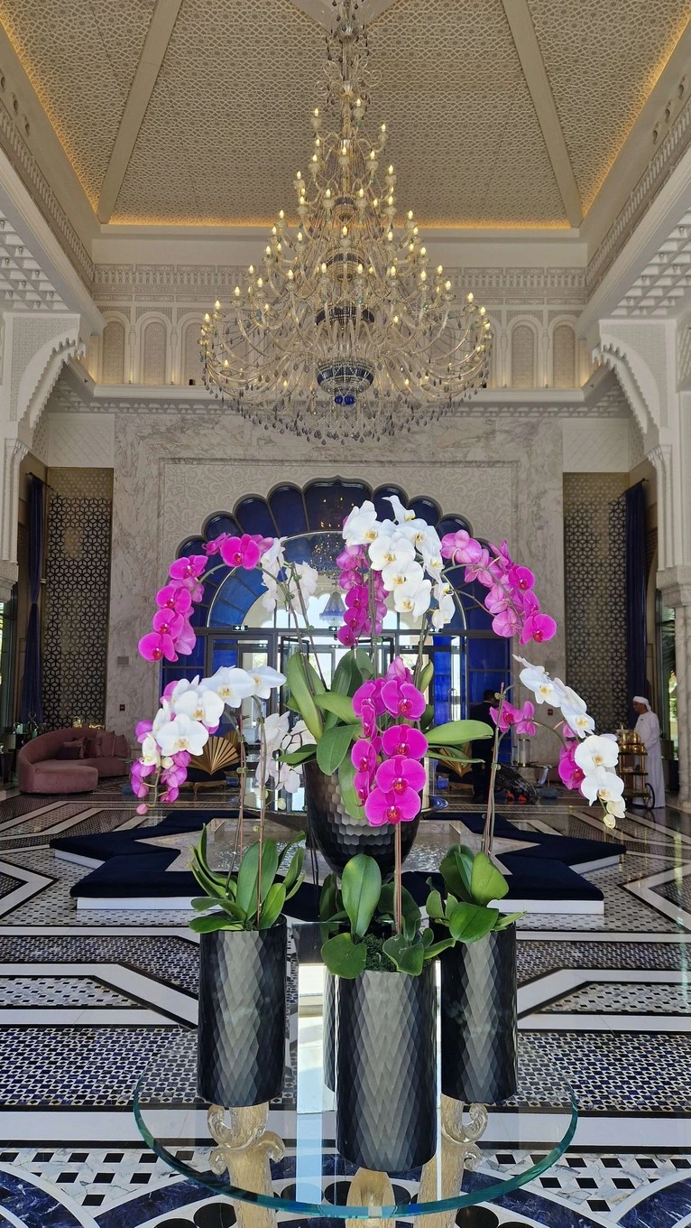 Фото отеля RIXOS PREMIUM SAADIYAT ISLAND