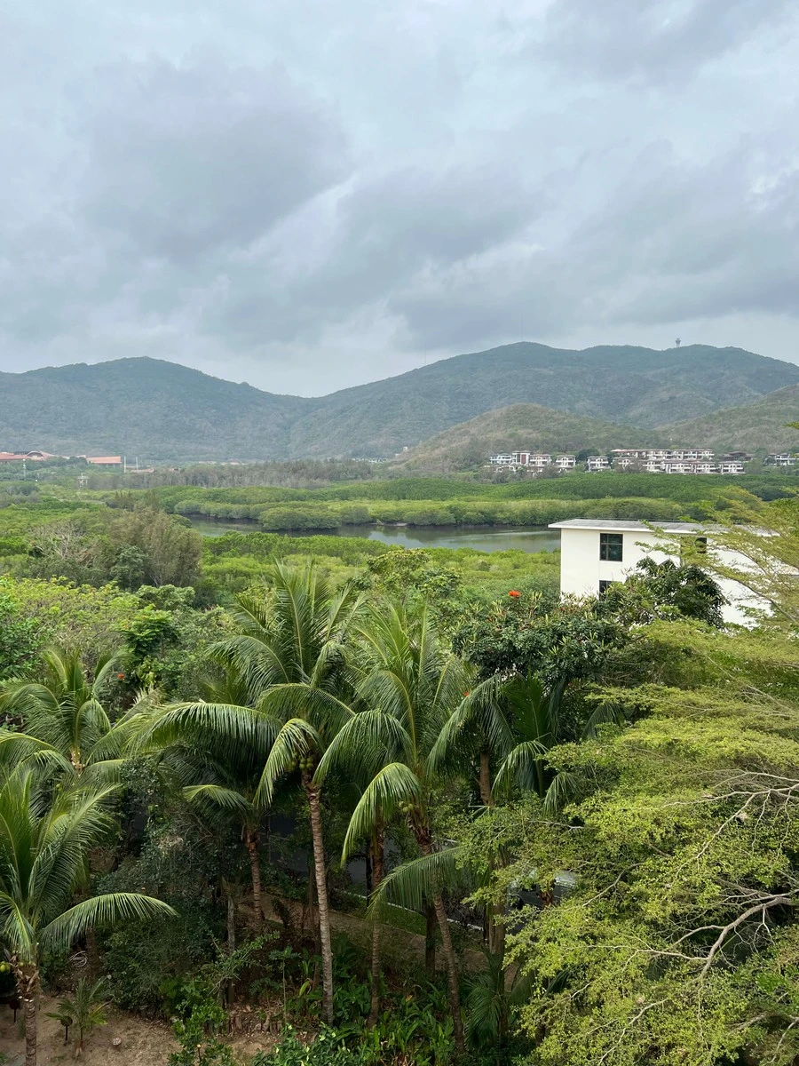 Фото отеля THE RITZ CARLTON