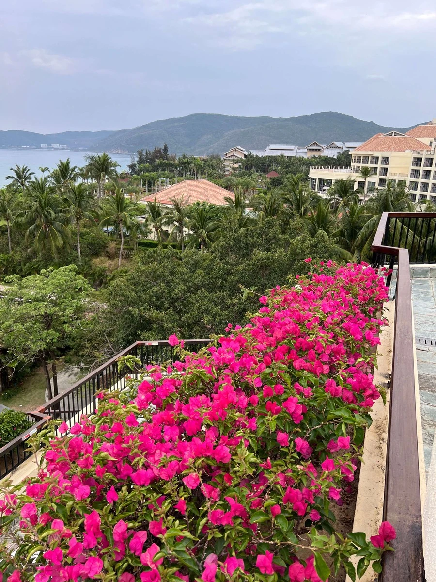 Фото отеля SHERATON SANYA RESORT