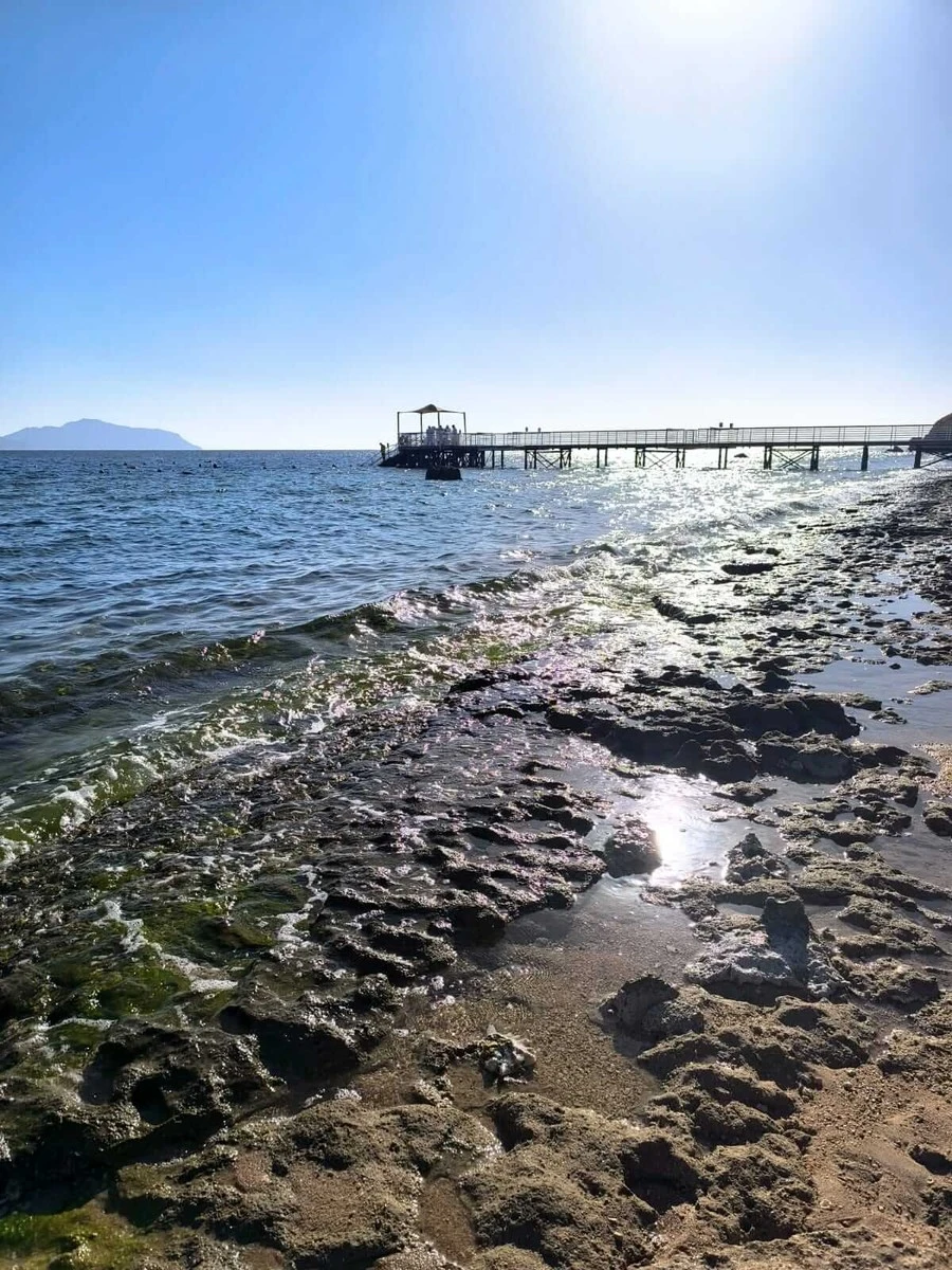 Фото отеля SUNRISE ARABIAN BEACH RESORT