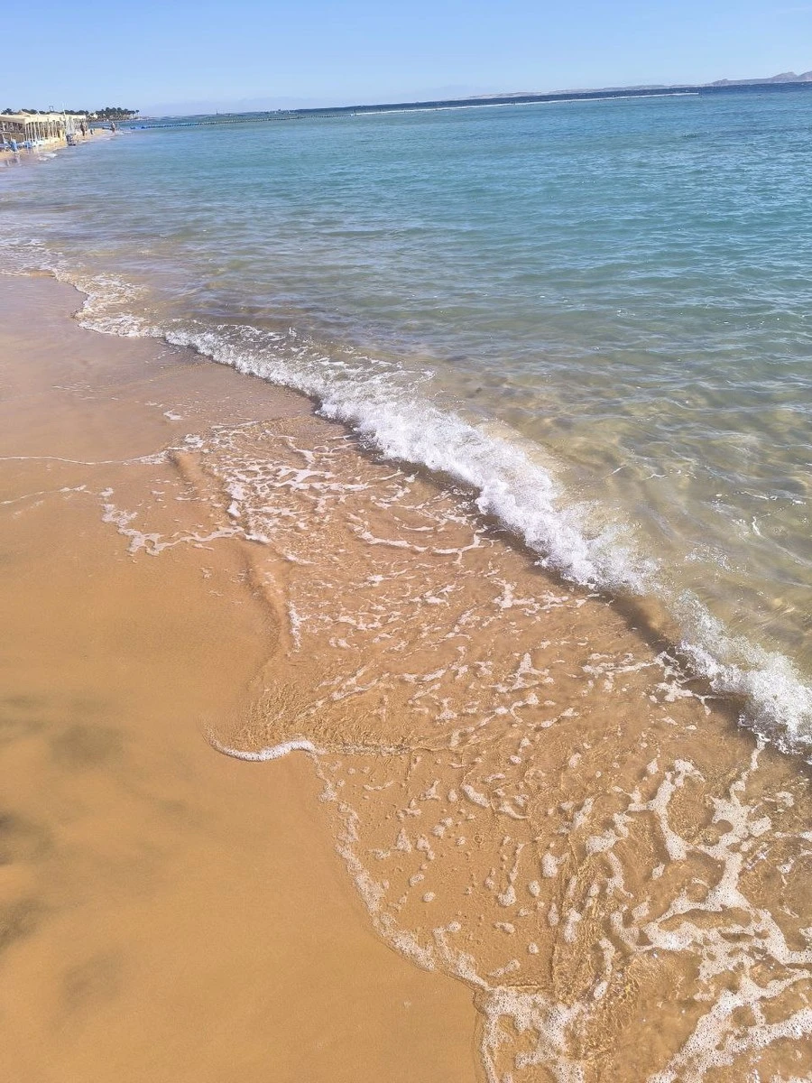 Фото отеля PICKALBATROS PALACE RESORT SHARM EL SHEIKH (EX. CYRENE GRAND)