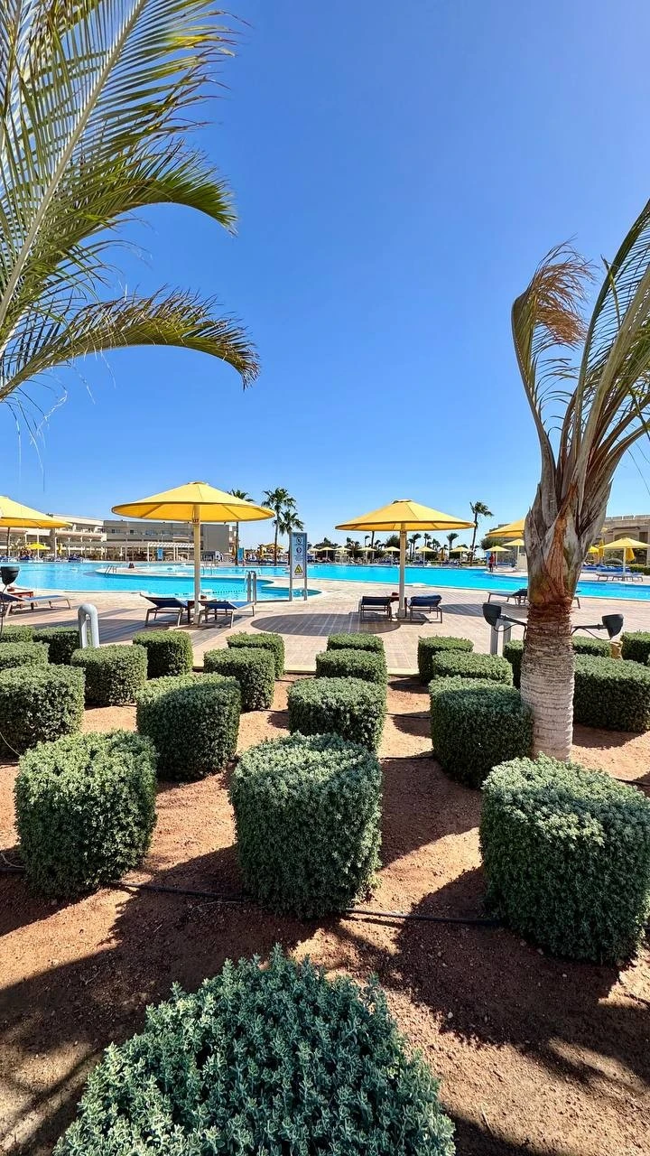 Фото отеля PICKALBATROS ROYAL MODERNA SHARM EL SHEIKH