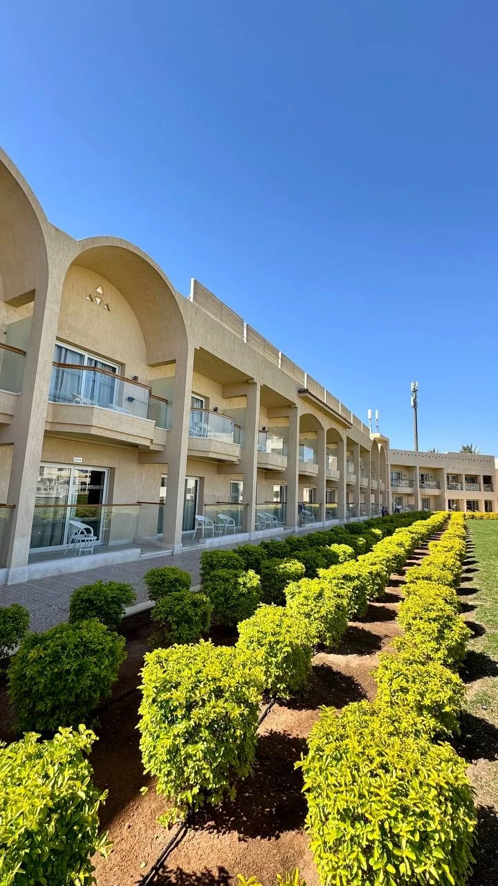 Фото отеля PICKALBATROS ROYAL MODERNA SHARM EL SHEIKH