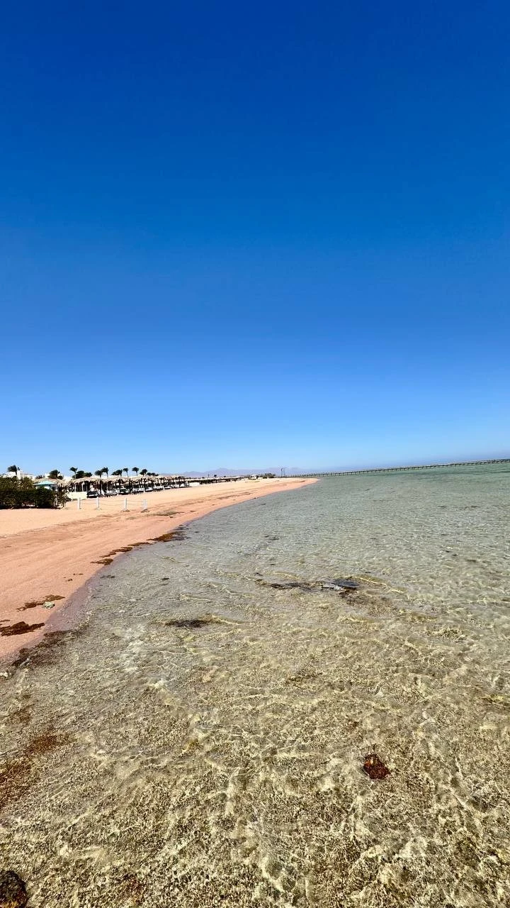 Фото отеля PICKALBATROS ROYAL MODERNA SHARM EL SHEIKH