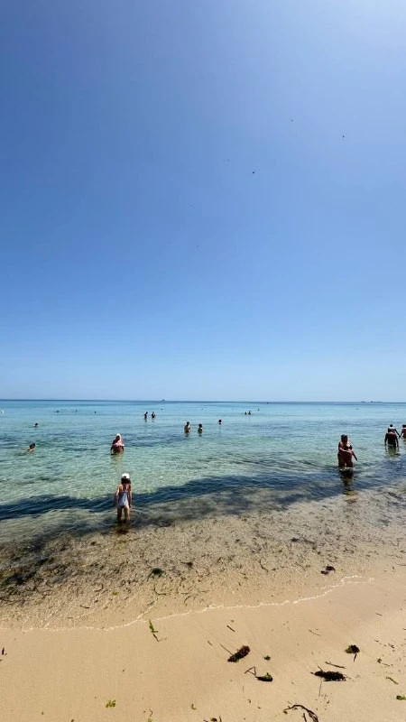 Фото отеля Riadh Palms