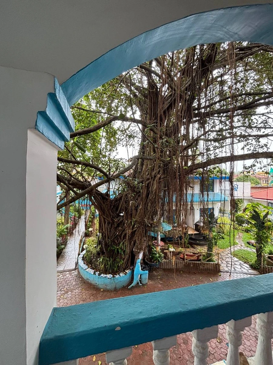 Фото отеля PARADISE VILLAGE BEACH RESORT