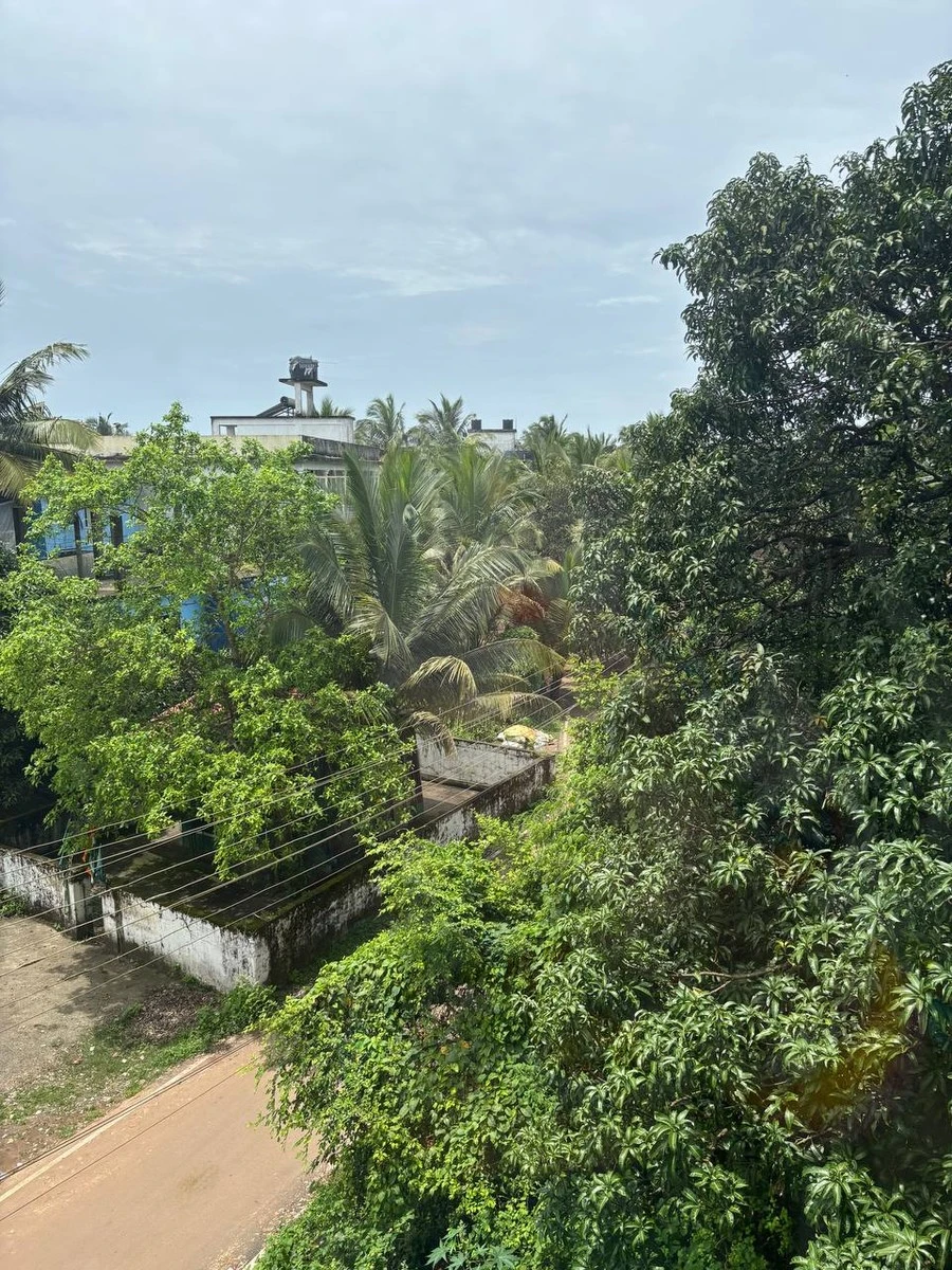 Фото отеля BEDZZZ XCLUSIVE MORJIM GOA