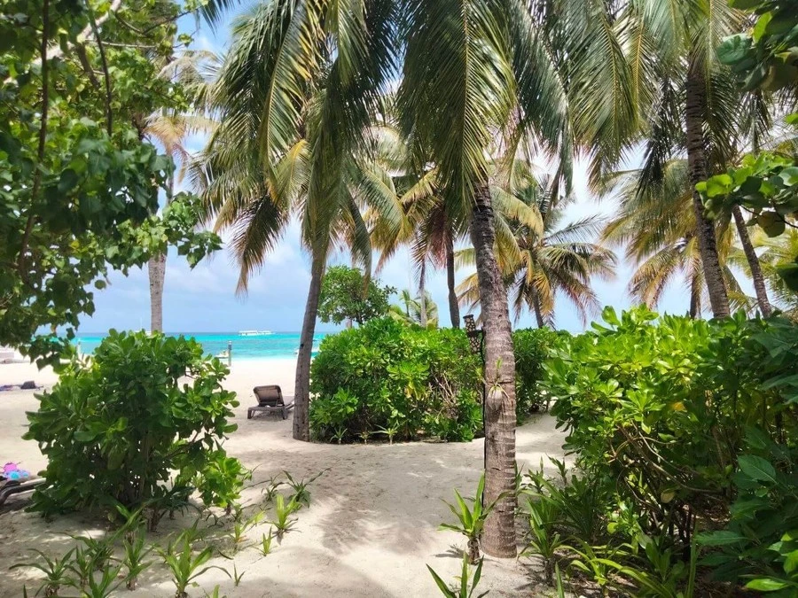 Фото отеля KUREDU ISLAND RESORT