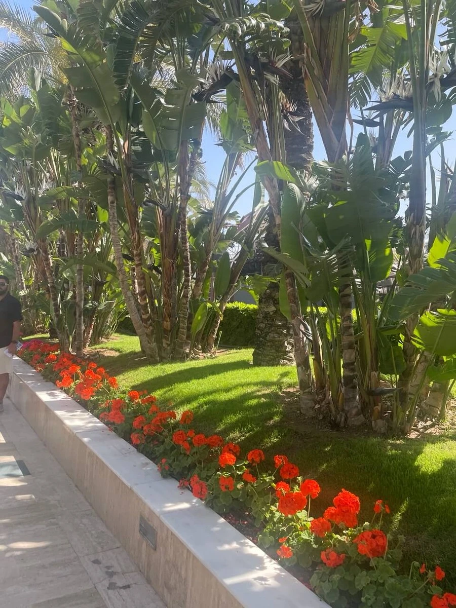 Фото отеля DOBEDAN EXCLUSIVE HOTEL & SPA (EX. ALVA DONNA EXCLUSIVE)