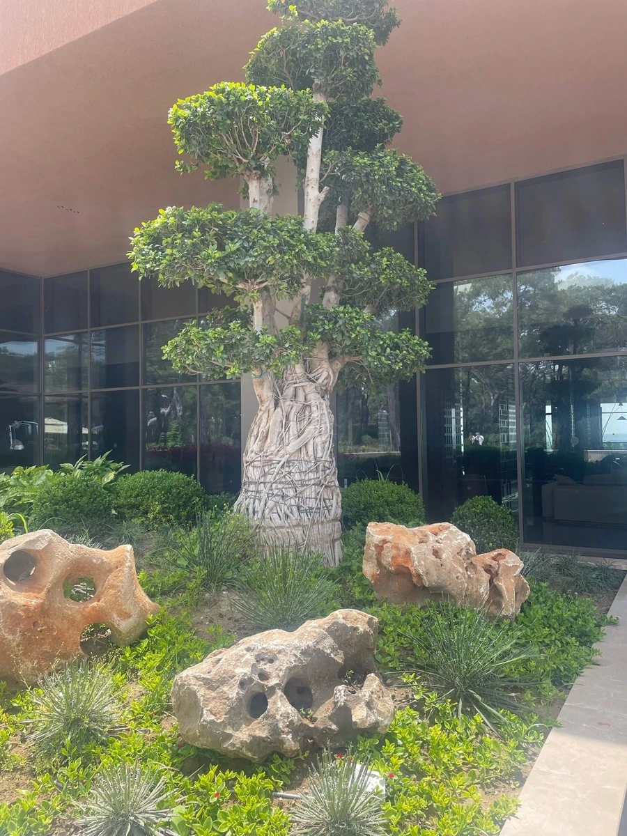 Фото отеля LUSSO SORGUN