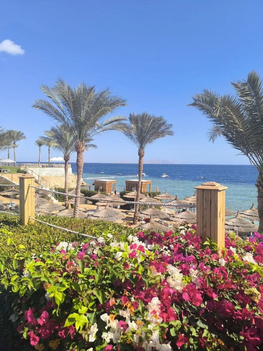 Фото отеля SUNRISE GRAND SELECT MONTEMARE RESORT