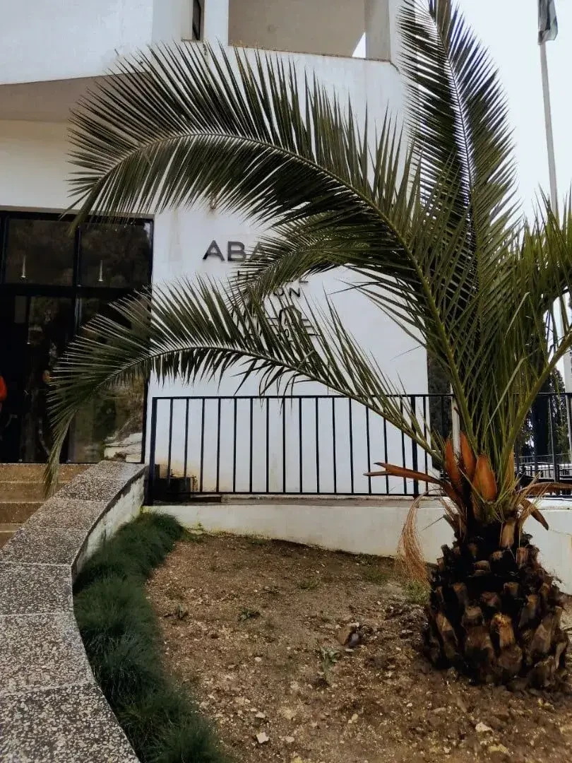 Фото отеля ABAASH HOTEL AFON (АБААШ АФОН)