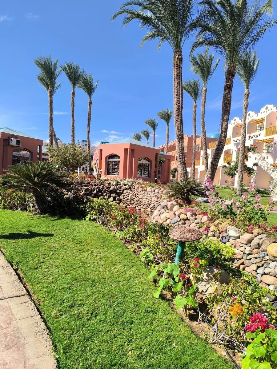 Фото отеля NUBIAN ISLAND